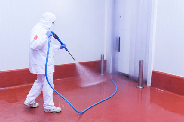 Best Residential Pressure Washing in Dundalk, MD